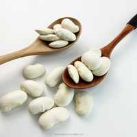 Grosses Haricots Blancs Nouvelle Récolte 45-50 Grains Directement De Chine