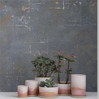 Nouvelle arrivée Pots de bonsaï en céramique émaillée modernes pour la maison et le jardin Vase de fleurs et de jardinières bon marché