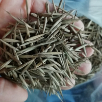 500 Gramos de Semillas de Bambú Moso Gigante (Phyllostachys Edulis) en Venta