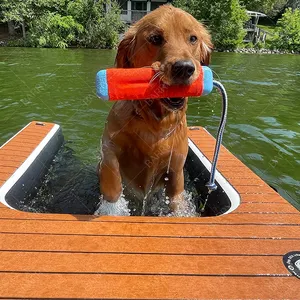 Tangga lembut Pvc kustom untuk anjing, tangga anjing Platform anak tangga tangga hewan peliharaan untuk jalan anjing air tiup untuk kolam renang danau perahu Dok