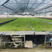 Système hydroponique de culture en lit de culture Tidal Nursery Bed, table de culture et plateaux de marée pour plantes, banc roulant à plateaux de marée 4*8