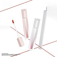 Tubo de Lápiz Labial Avanzado de 3g, Semitransparente, Degradado, con Tapa Abatible, Varilla con Pincel Fino, Pared Gruesa, Embalaje Ecológico y Reciclable