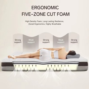 <span class=keywords><strong>Matelas</strong></span> de lit ergonomique orthopédique AIDI Euro Pillow Top avec mousse découpée en cinq zones, massant, enroulé dans une boîte - Product Image 4