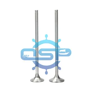 قطع غيار محرك ديزل من الشركة المصنعة ملف صمام السحب والعادم من PIELSTICK PC2-5v لفائف صمامات المحركات البحرية