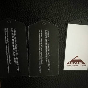 Tela de algodón egipcio Giza <span class=keywords><strong>egipcia</strong></span> Jersey de algodón Tela de punto Algodón egipcio Jersey único Giza Tela de punto para camisetas - Product Image 3