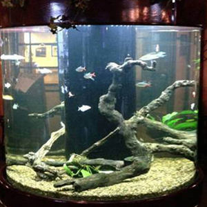 Luxe Grote Inventaris <span class=keywords><strong>Aquarium</strong></span> Acryl Hoge Kwaliteit 10 Gallon Plastic Tank Vis - Product Image 6