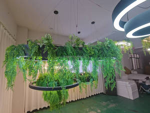 Jardinière suspendue avec lumière LED, boîte en <span class=keywords><strong>bois</strong></span> pour plantes, luminaire de culture pour la décoration de la maison et des cafés - Product Image 3