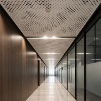 Panneau de revêtement en aluminium enduit de fluorocarbone, panneau de mur rideau personnalisé en aluminium pour façade extérieure de bâtiment