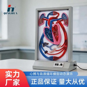 Modèle de rythme cardiaque et de circulation sanguine, équipement d'expérimentation biologique, aide pédagogique électrique pour démonstration dynamique, pour les jeunes. - Product Image 5