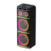 Haut-parleur professionnel amplifié de 12 pouces pour karaoké, sans fil, pour extérieur, avec LED RVB clignotantes – Prix direct usine