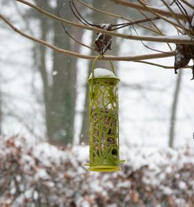 Esschert Design Mangeoire à oiseaux suspendue au toit vert "Chiffchaff" Silo à graines avec perchoir/plateau - Product Image 1