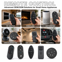 Fabricant de télécommandes personnalisées RCT3011 IR BLE RF 2.4G Contrôleur à 11 boutons pour chauffage de camping-car, cheminée, purificateur d'air