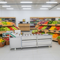Hoog rendement industriële volautomatische motor CE-gecertificeerde groente-fruit-noten-bubbelwasmachine SUS304 voedselverwerking