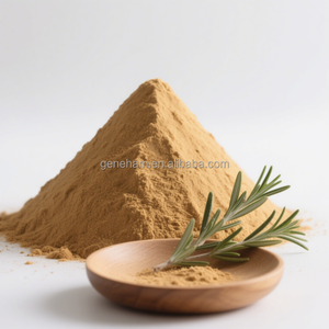 Precio directo de fábrica 60% ácido carnósico extracto de hoja de Romero de grado alimenticio polvo solvente extraído en tambor Extracto de planta de envasado - Product Image 6