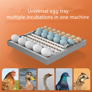 最新設計の孵卵器、鶏卵用全自動引き出し式64卵孵卵器 - Product Image 3