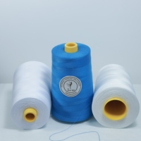 Pasokan Pabrik Benang Jahit Poliester 100% JIADE Berkualitas Tinggi, Berwarna, Hasil Pintalan, Gulungan 40/2 Grosir 500G Zhejiang