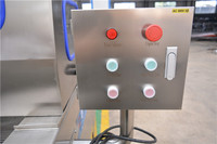 Injecteur automatique de saumure de poulet Machine d'injection de saumure de boeuf Machine d'injection de solution saline de viande de poisson