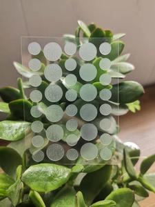 แผ่นแปะแปะสิวใสไฮโดรคอลลอยด์บางๆใช้เป็นจุดรักษาแผลก่อนวันแต่ง - Product Image 5