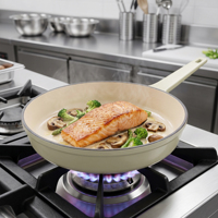 Poêle à frire légère en fonte émaillée, ronde, pour gaz et induction, idéale pour restaurants, hôtels, traiteurs, vente en gros