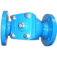 Usine de fonte ductile PN10 PN16 DN80 3 "bride Y filtre crépine pour l'eau