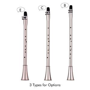 C Chiave Mini Semplice <span class=keywords><strong>Clarinetto</strong></span> Sax <span class=keywords><strong>Clarinetto</strong></span> Compatto-Sassofono ABS Materiale Strumento Musicale del Vento per I Principianti con Borsa per il trasporto - Product Image 5