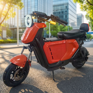 Nouvelle conception, <span class=keywords><strong>moto</strong></span> électrique tout-terrain sans balais de 1200 W, 14 pouces, frein à disque étanche, E-Dirt Bike pour les passionnés de plein air - Product Image 3