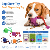 Jouet pour chien en caoutchouc naturel durable et écologique, taille personnalisable, interactif, double balle avec corde, pour nettoyer les dents et distribuer des friandises