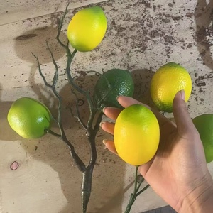 2m chống cháy chanh mây vải bền cây bụi và cỏ làm từ chanh lá nho loại - Product Image 5