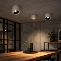 Projecteur LED Ecolux CE Commercial rotatif à 360 degrés 7W 10W, personnalisable, à montage en surface, anti-éblouissement, COB Downlight