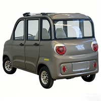 Quadricycle électrique pour adultes BAIMA avec climatisation, 4 portes, mini voiture électrique pour usage familial, moteur 2000W, autonomie 100 km, certifié EEC