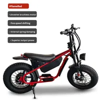Sepeda Listrik Retro Ban Lebar 20 inci untuk Jalan Raya, Salju, Off-Road, Pantai, dengan Baterai Lithium 48V, Model S16pro/S6pro, Motor Hub Belakang Elektronik