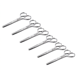 Odontomed 2011 Juego de 6 Tijeras de Acero Inoxidable para Nariz, Orejas, Bigote, Barba, Cabello, Manualidades para Bebés y Mascotas, 4.25 Pulgadas (Color Plateado) - Product Image 1