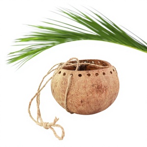 Sustainable Eco-Friendly Coconut Shell Plant <b>Pot</b> with Farmhouse Design Customizable Capacity-High Quality & by Eco2go Vietnam - Product Image 1