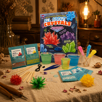 Fabricant de jouets ODM/OEM BIG BANG SCIENCE, Kit sur tous les cristaux, Jouet éducatif STEAM pour enfants, culture de cristaux en pratique