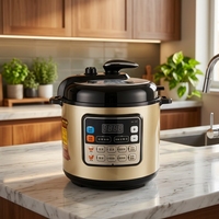 Cuisinière à pression électrique GB-PCA2 6L 1000W, boîtier en acier inoxydable, cuve intérieure en fer-aluminium, contrôle par micro-ordinateur