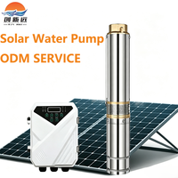 Pompe à eau solaire submersible 5-500m avec moteur DC en acier inoxydable à haut débit pour l'irrigation agricole et les pâturages