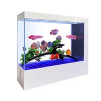 Aquarium en verre transparent sur mesure de grande taille 675L, écran blanc, écologique, durable, rectangulaire, pour salon