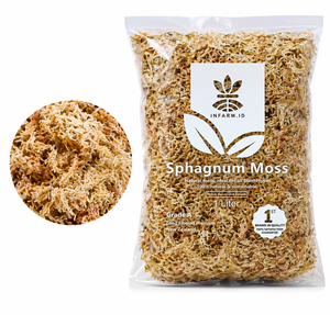 Natural <b>Dried</b> Sphagnum <b>Moss</b> 1L Organic Plant Growing Medium Sterilized Fast Water Retention for Orchids Seedlings Pots - Product Image 2