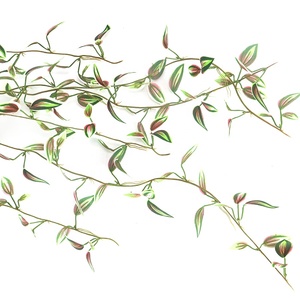 Pianta Artificiale Pendente Variegata Lunga 70cm, Simulazione Foglie Occipitale - Product Image 6