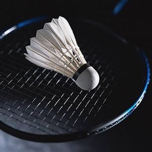 Bwf produttore livello torneo di grado Super classe piuma d'oca Badminton volano per la formazione di giocatori professionisti - Product Image 6