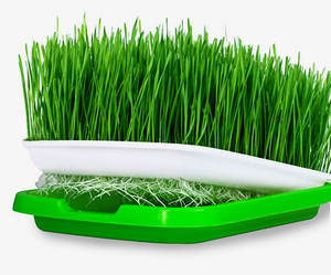 Sistema de Cultivo Vertical de 6-2 Niveles para Microgreens, Hidropónico, con Bomba y Circulación Automática de Agua, en Venta - Product Image 2