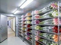 Cámara Frigorífica de Gran Capacidad para Floristería, Cuarto Frío para Almacenamiento de Flores