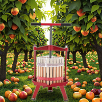 Xh Fabrikant Efficiënte Spiraalmotor Automatische Juicer Voor Fruitgroentesapscheiding Voor Fruitverwerkingsfabriek