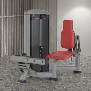 <b>Leg</b> Extension Gym Machines Rotary Calf Seated Raise Machine Strength Training LK-039 Pin Load Selection Machines LK-039 - Product Image 4