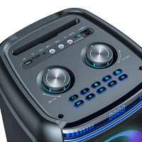 Altavoces de fiesta de Venta caliente CQA BT DJ Light Party Box Altavoces dobles de 6,5 pulgadas alimentados con luz de fuego