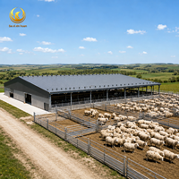 Bâtiment Agricole en Acier Préfabriqué Personnalisé, Abri pour Bétail, Moutons, Chèvres, Étable d'Élevage, Entrepôt