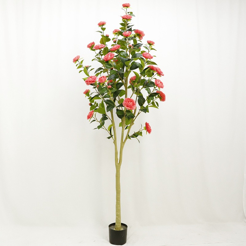 185cm rose red