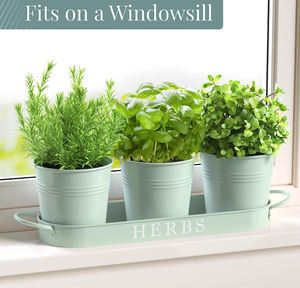 Ensemble de jardinières pour herbes aromatiques d'intérieur avec plateau, pots de fleurs en métal pour rebord de fenêtre avec drainage pour plantes d'extérieur ou d'intérieur - Product Image 6