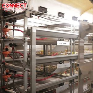 <span class=keywords><strong>6</strong></span> 7 8 9 10 11 12 katlı tam Set kuşlar hayvancılık hayvancılık makinesi tavuk çiftliği ekipmanları otomatik Broiler tavuk kafesi sistemi - Product Image 6