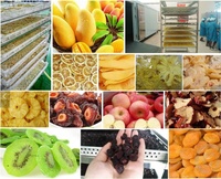 Déshydrateur alimentaire à pompe à chaleur pour l'agriculture industrielle, machine de séchage des fruits, légumes et fleurs